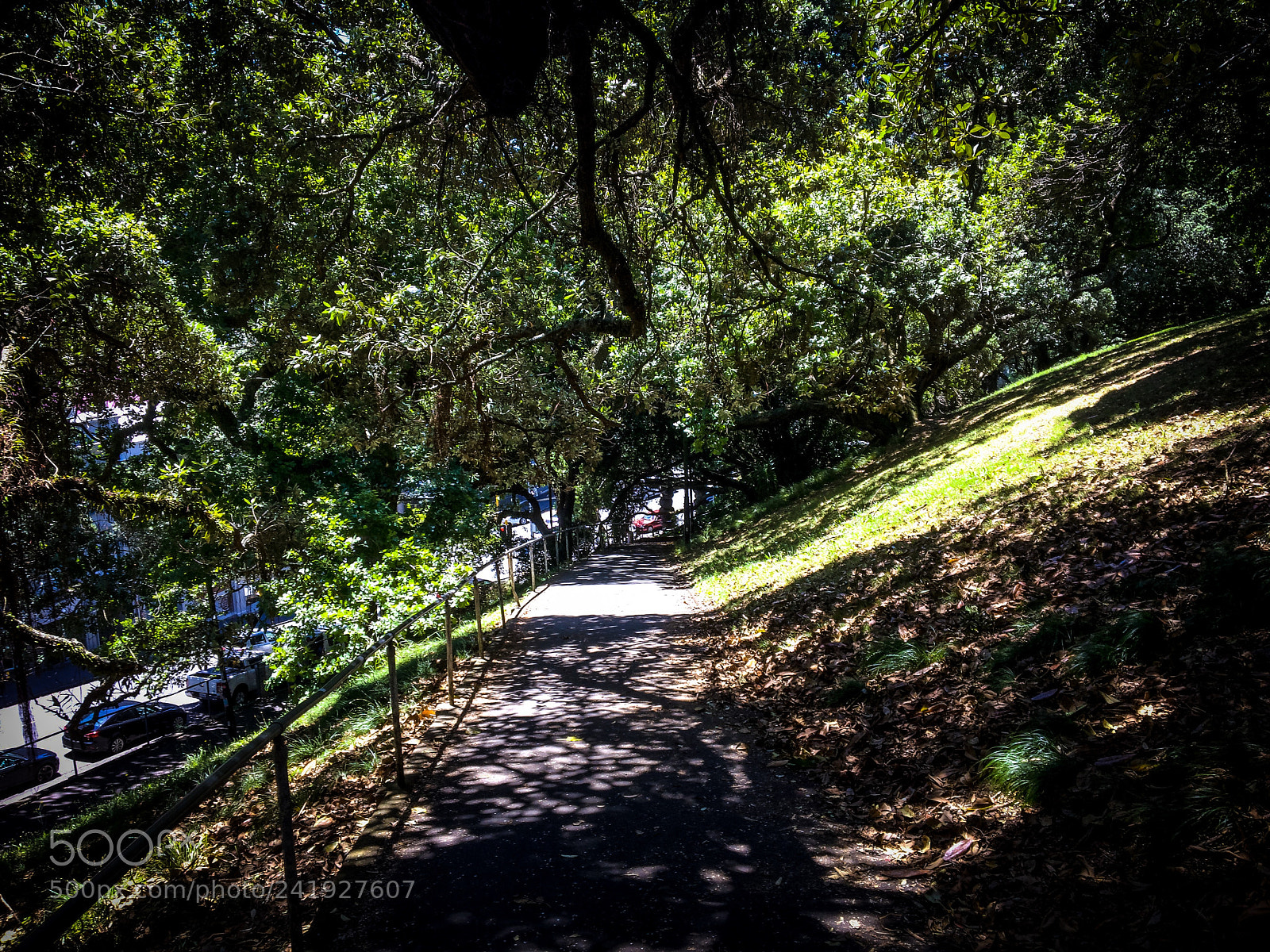 Apple iPhone 6s sample photo. Garden path photography
