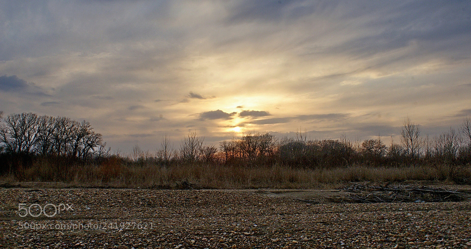 Sony DT 18-70mm F3.5-5.6 sample photo. Untitled photography