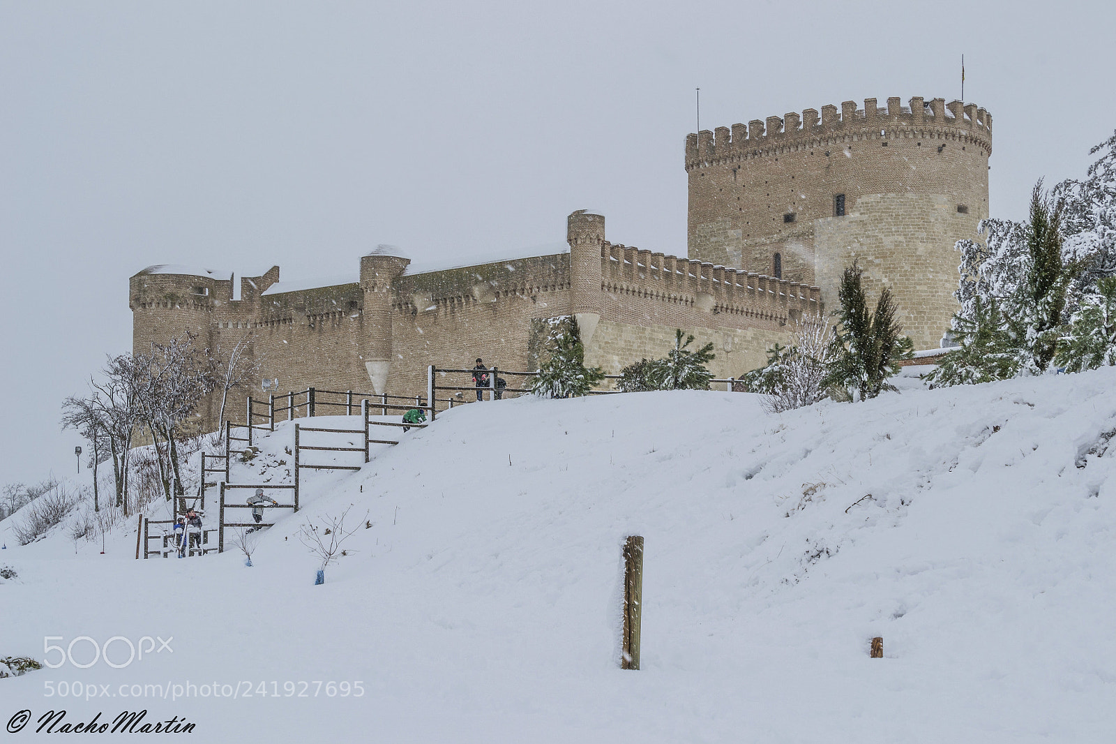 Nikon D3100 sample photo. Invernalia photography