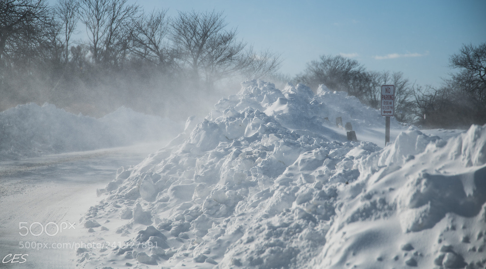 Nikon D850 sample photo. Blowing snow photography