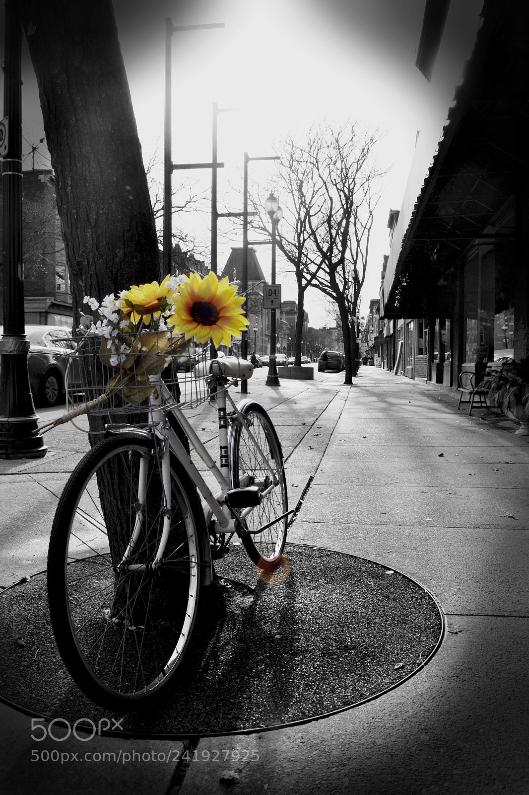 Nikon D3100 sample photo. City street bicycle photography