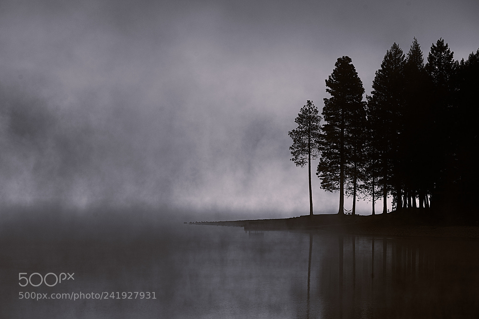 Nikon D3 sample photo. Morning on the lake photography