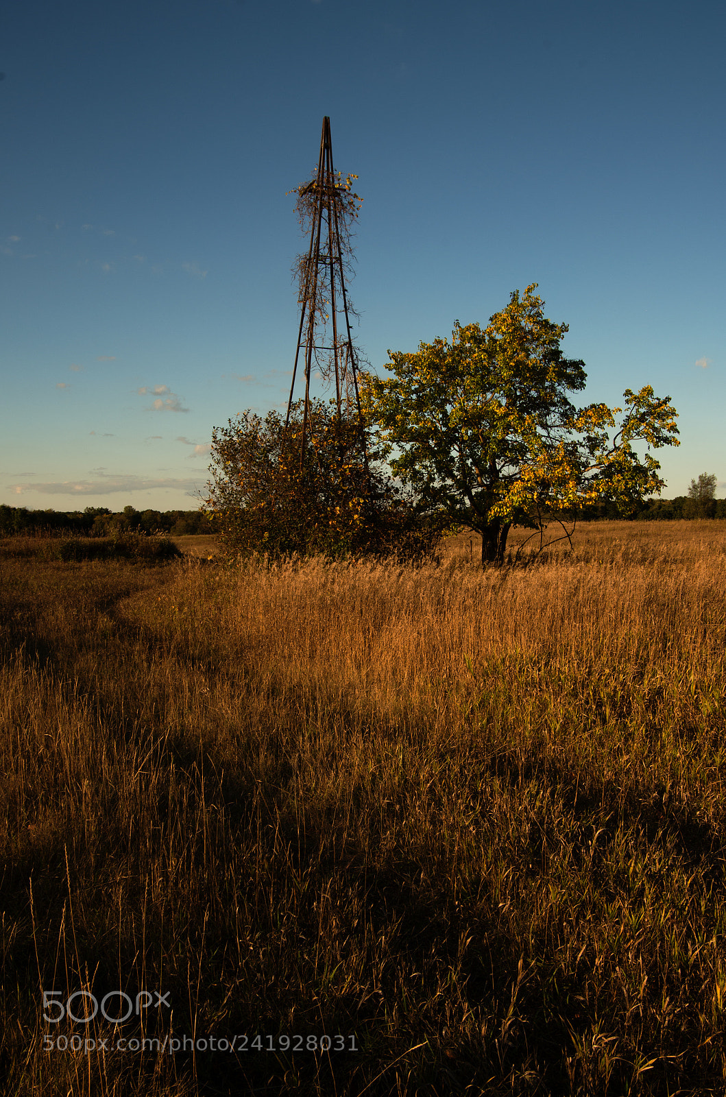 Pentax K-30 sample photo. Farmed out photography