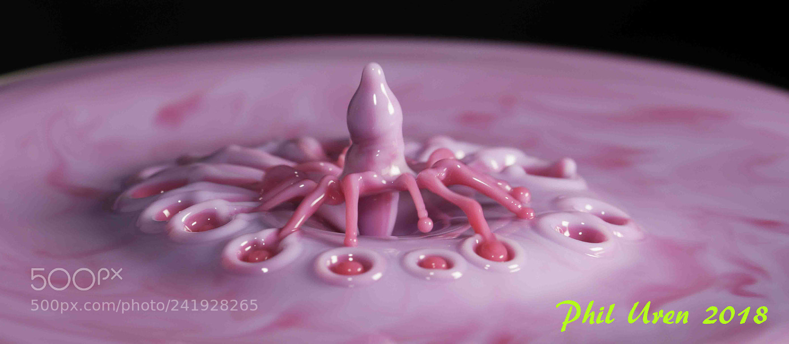 Nikon D7200 sample photo. Alien spider photography