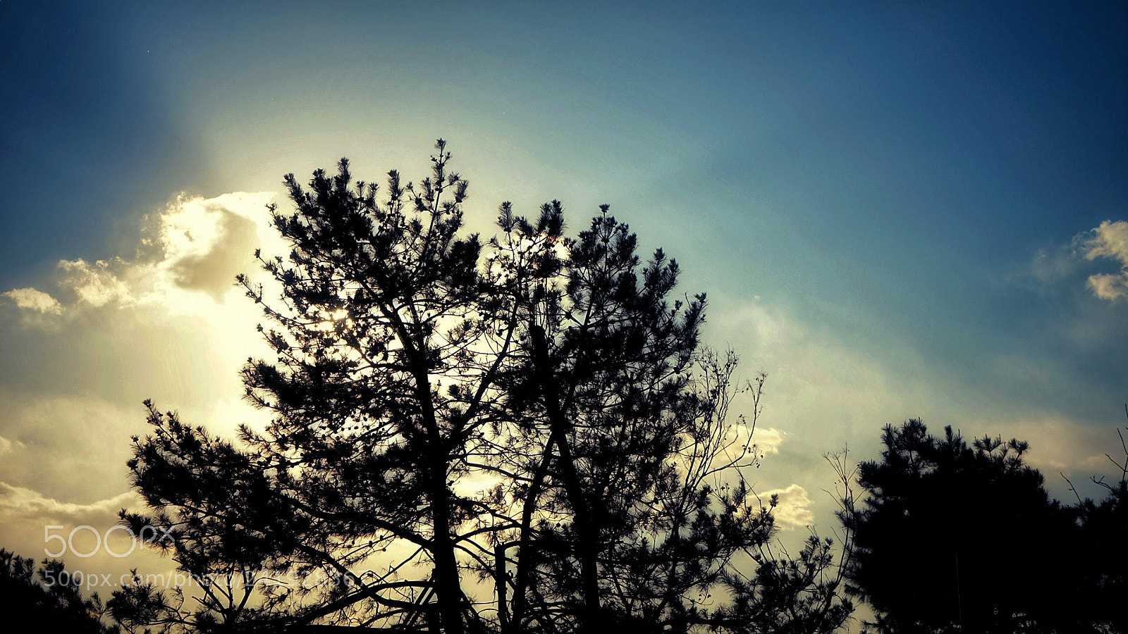 Sony a7 II sample photo. The three in winter photography