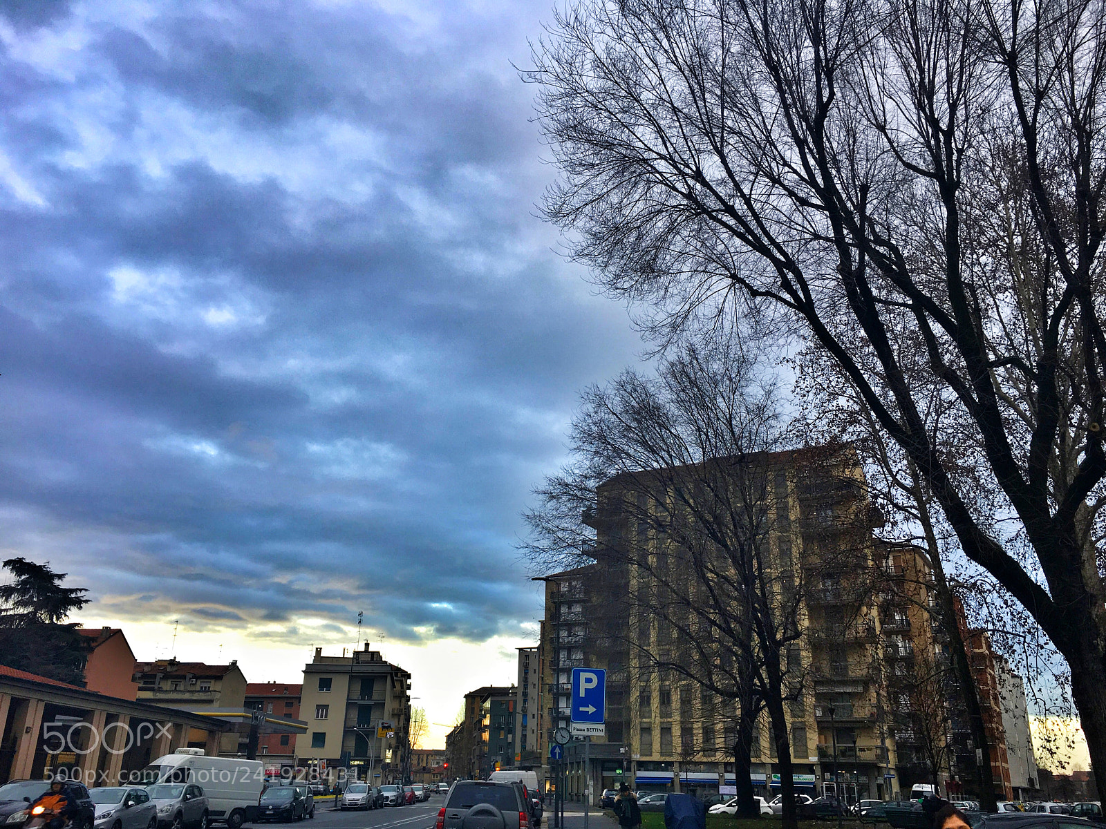 Apple iPhone 6s sample photo. Trees in the city photography