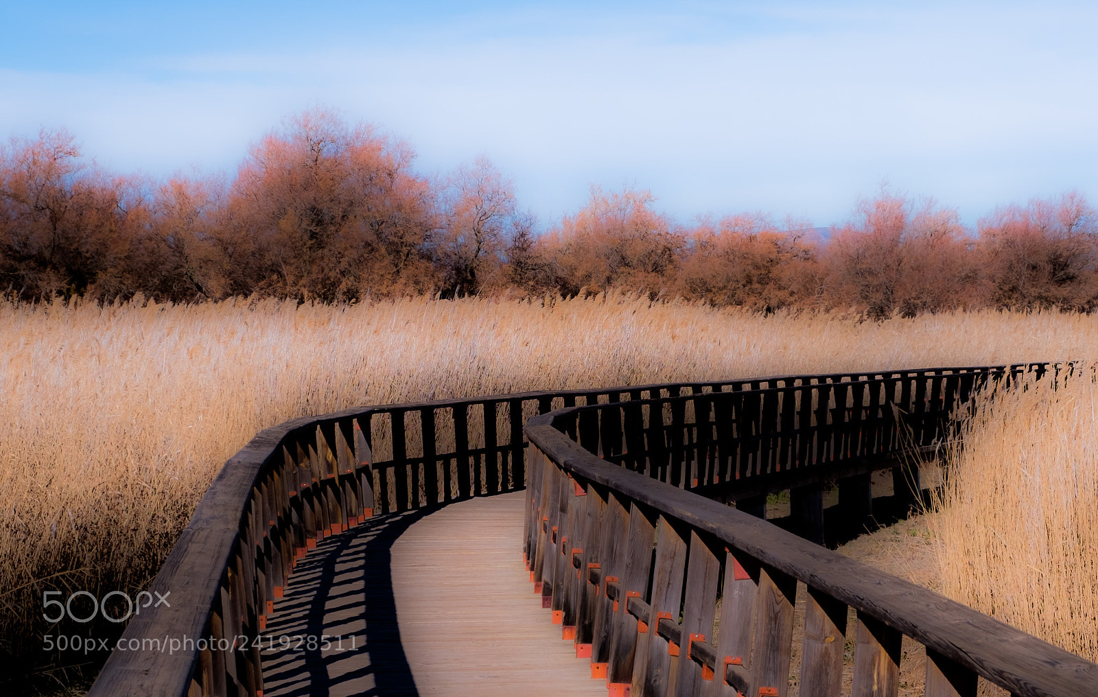 Fujifilm X-T2 sample photo. Las tablas de daimiel photography