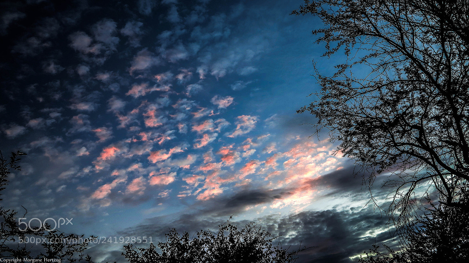 Canon PowerShot G1 X sample photo. Cloud cololny photography