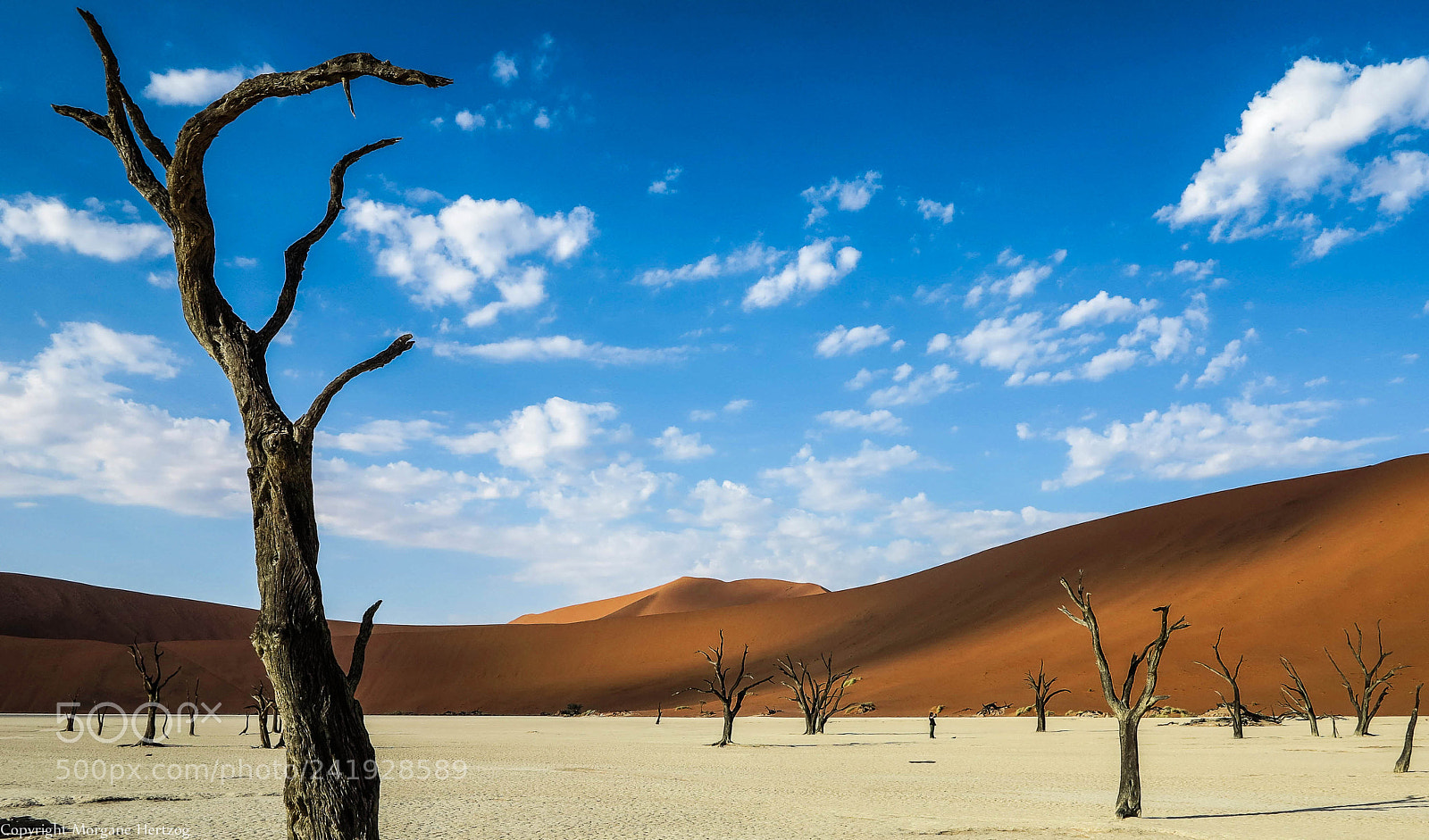 Canon PowerShot G1 X sample photo. Dead vlei photography