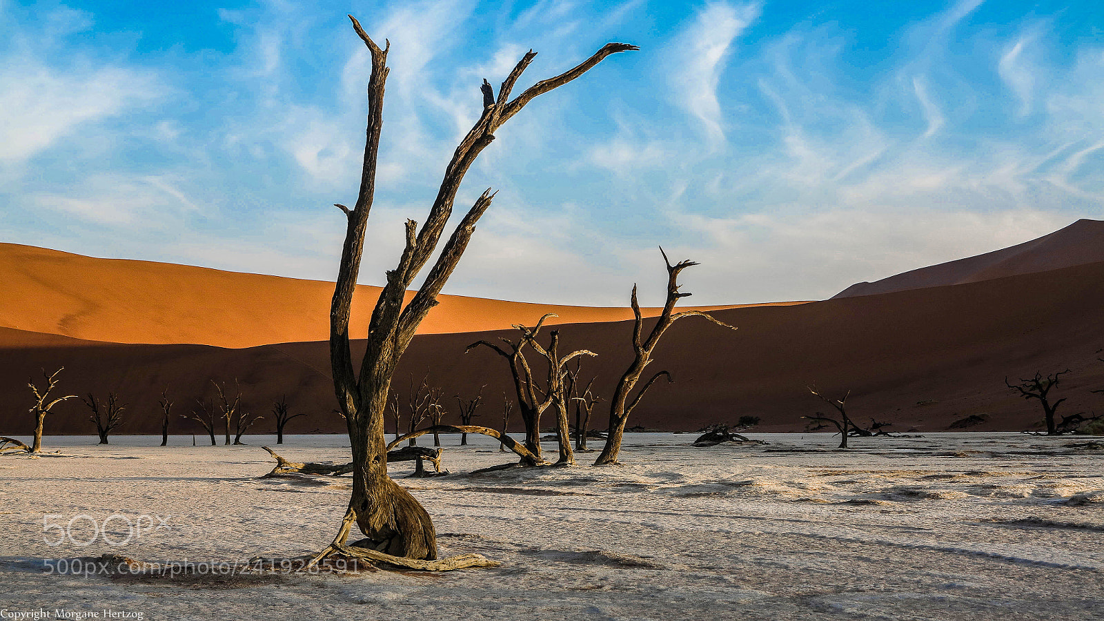 Canon PowerShot G1 X sample photo. Dead vlei on sunset photography