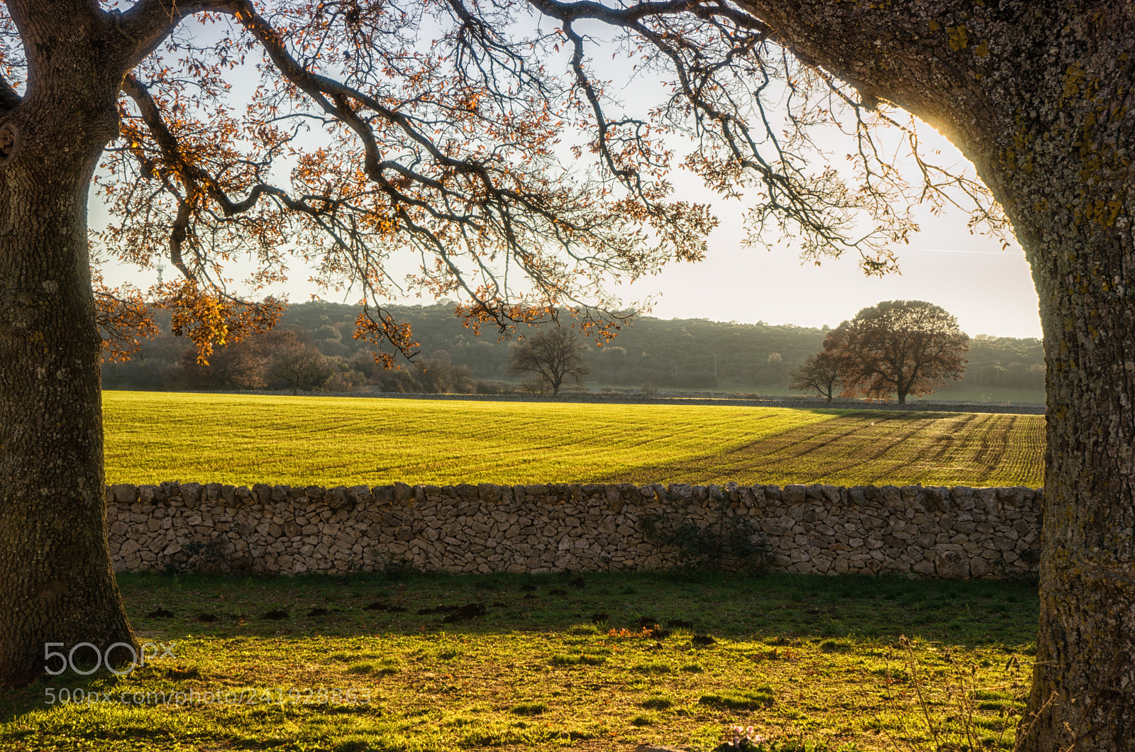 Sony a7 II sample photo. My home land photography