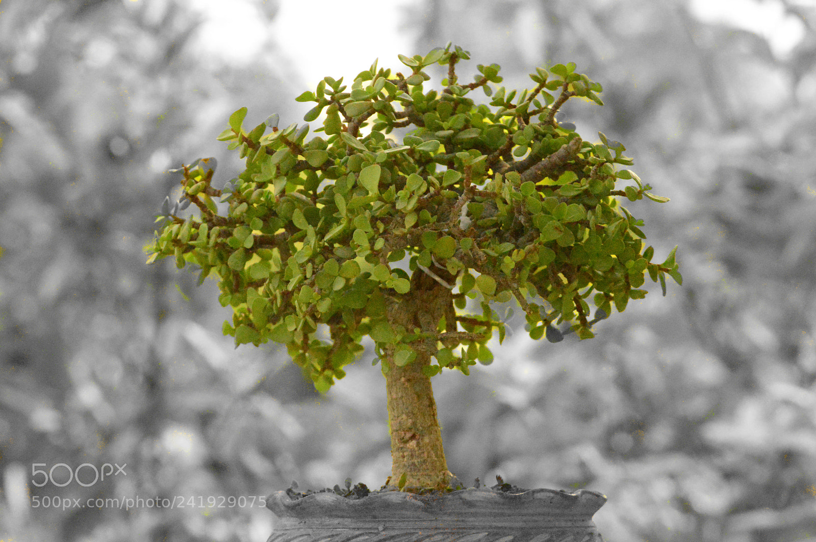 Nikon D3200 sample photo. Untitled photography