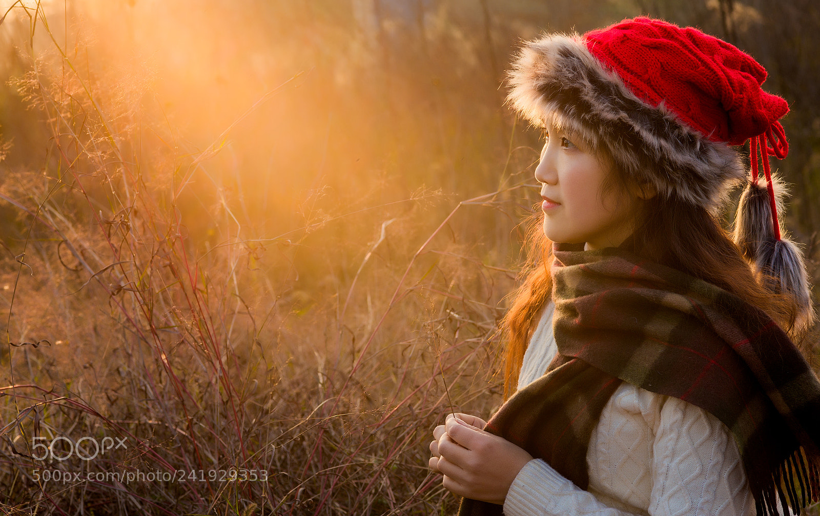 Canon EOS-1D X sample photo. Untitled photography