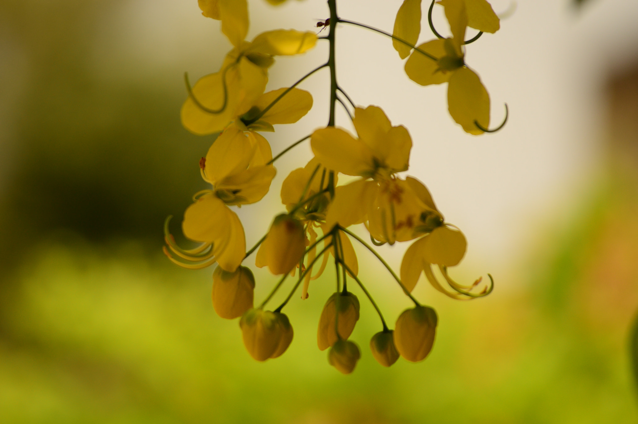 Nikon D3200 sample photo