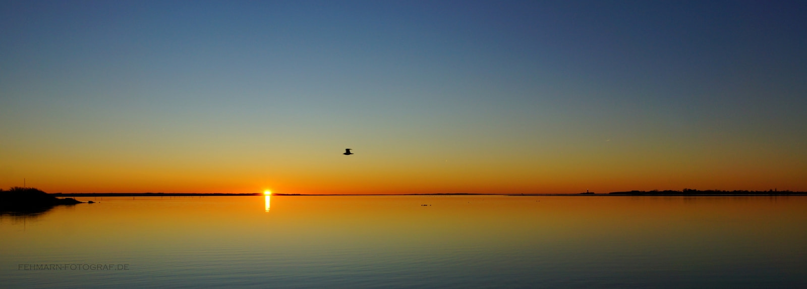 Sony SLT-A77 + Sony DT 16-50mm F2.8 SSM sample photo. The gull photography