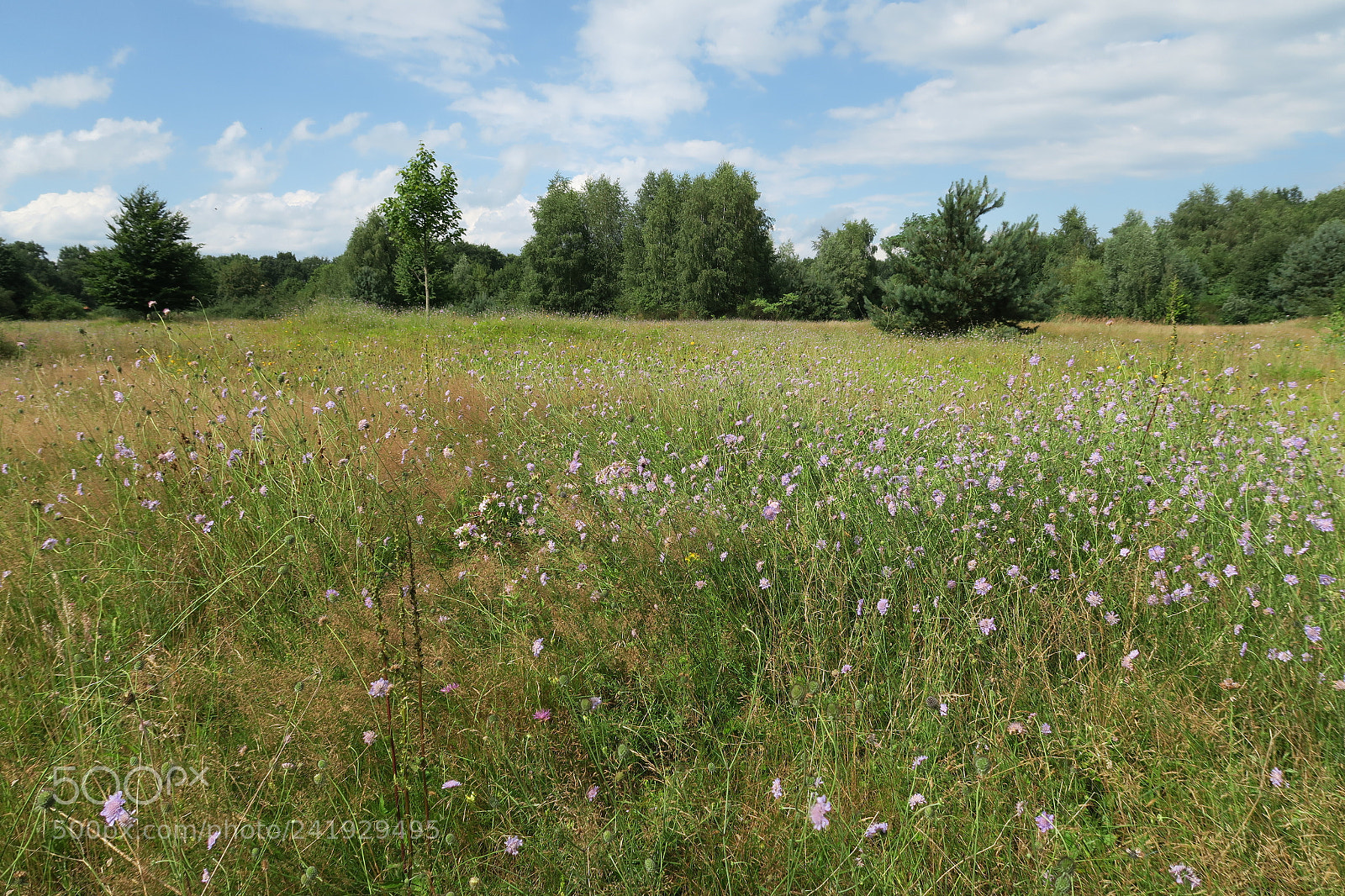 Canon PowerShot G7 X sample photo. Img photography
