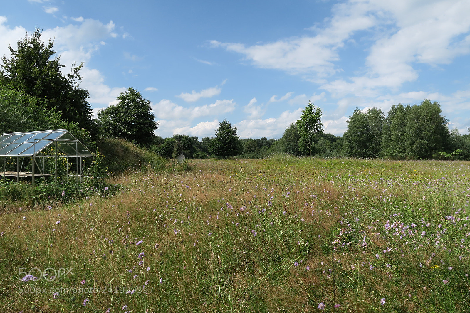 Canon PowerShot G7 X sample photo. Img photography