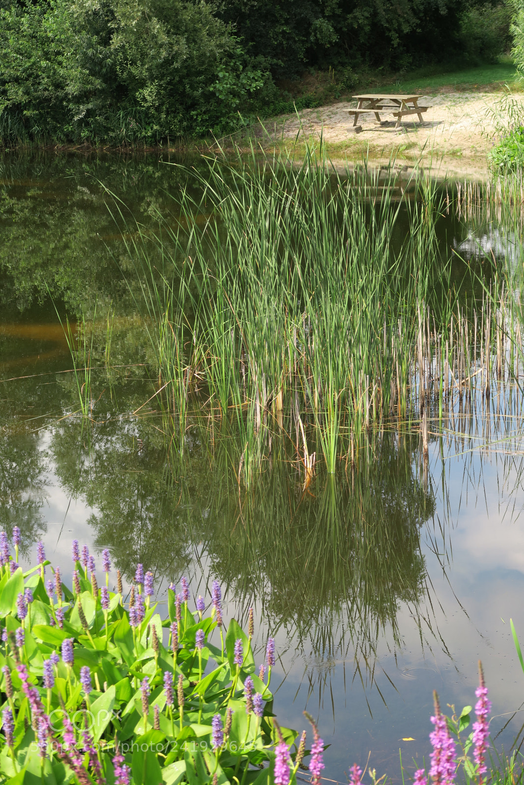 Canon PowerShot G7 X sample photo. Img photography