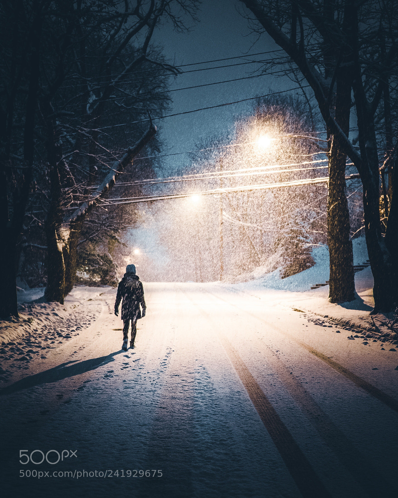 Olympus OM-D E-M1 sample photo. Snowy walks photography