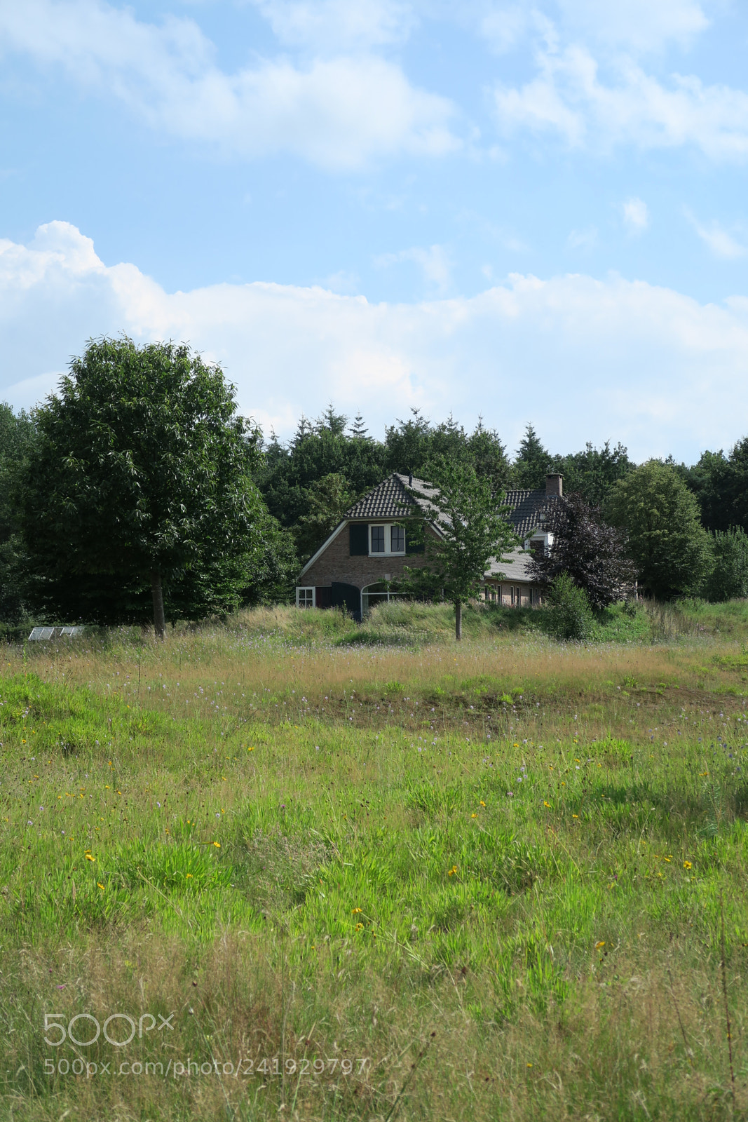 Canon PowerShot G7 X sample photo. Img photography
