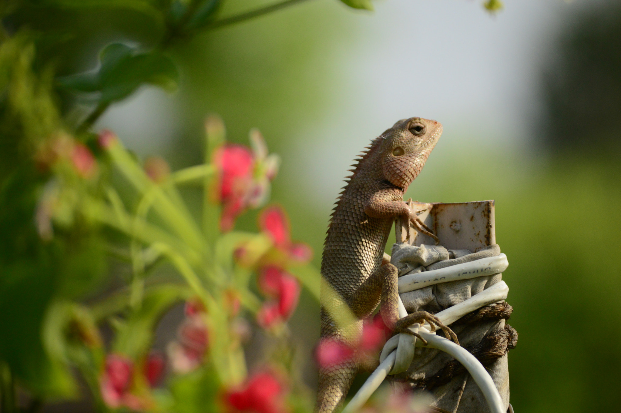 Nikon D3200 sample photo