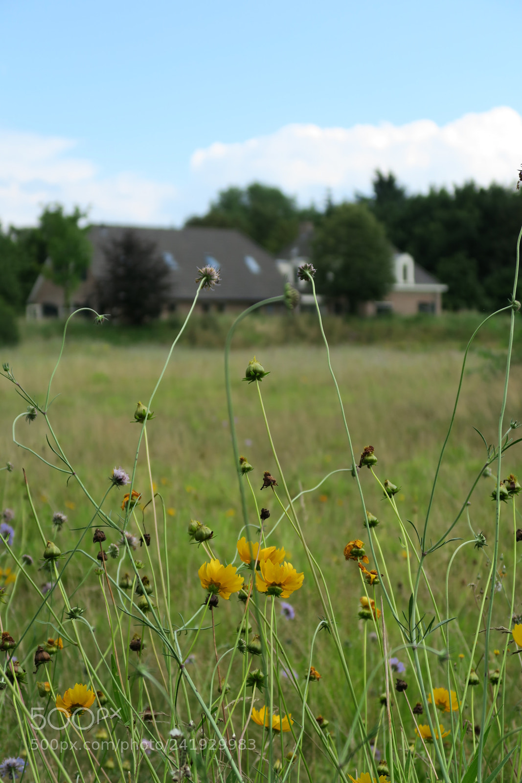 Canon PowerShot G7 X sample photo. Img photography