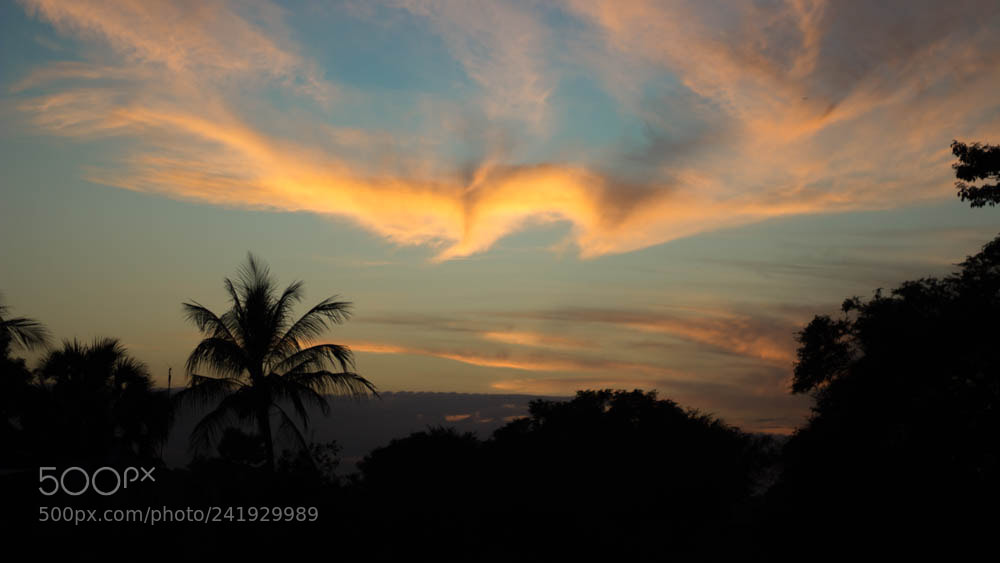 Canon EOS 1200D (EOS Rebel T5 / EOS Kiss X70 / EOS Hi) sample photo. Atardecer photography