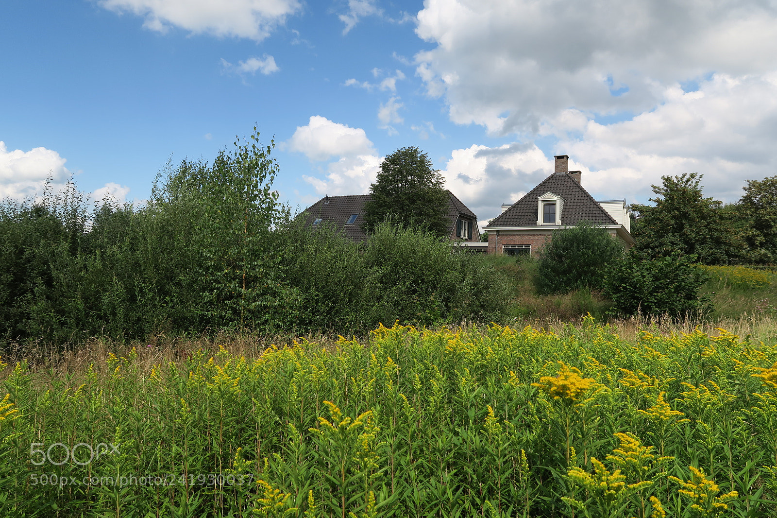 Canon PowerShot G7 X sample photo. Img photography