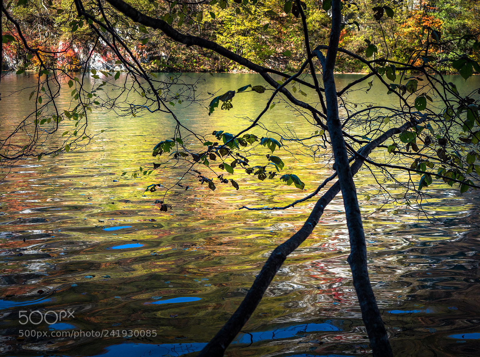 Olympus OM-D E-M1 Mark II sample photo. Plitvice reflection photography