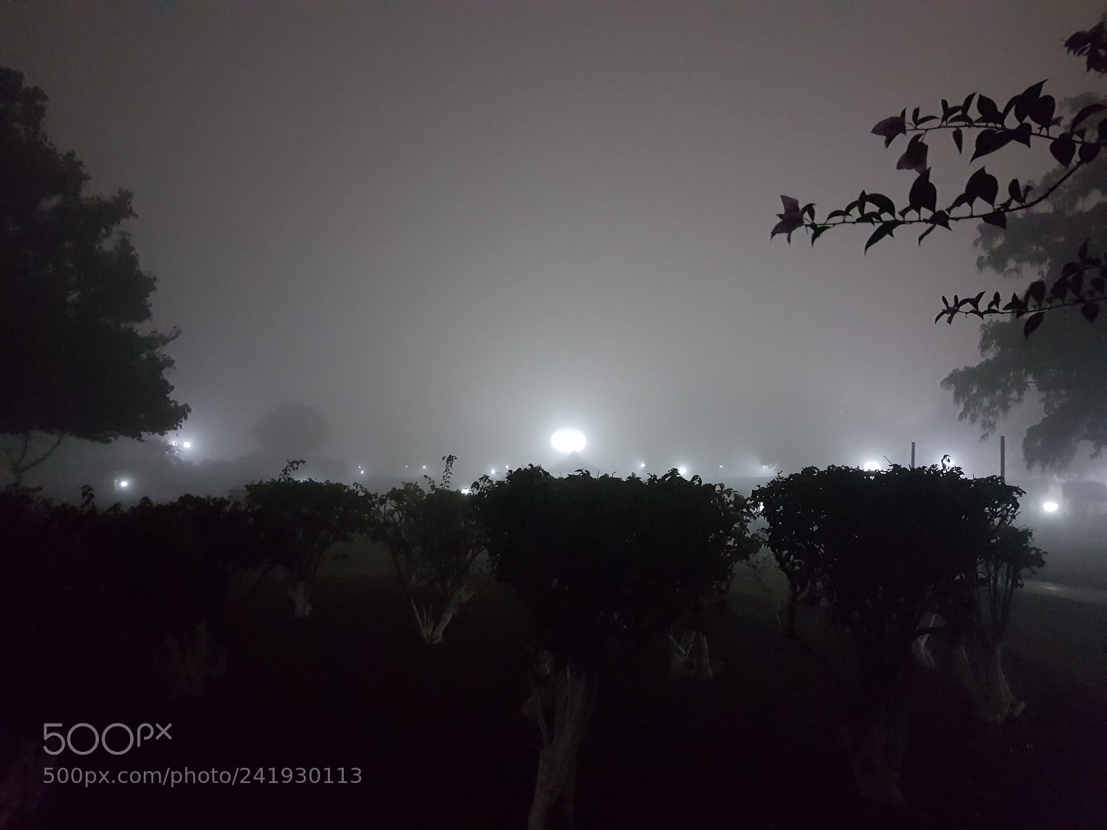 Samsung Galaxy S7 sample photo. Fog plays a trick photography