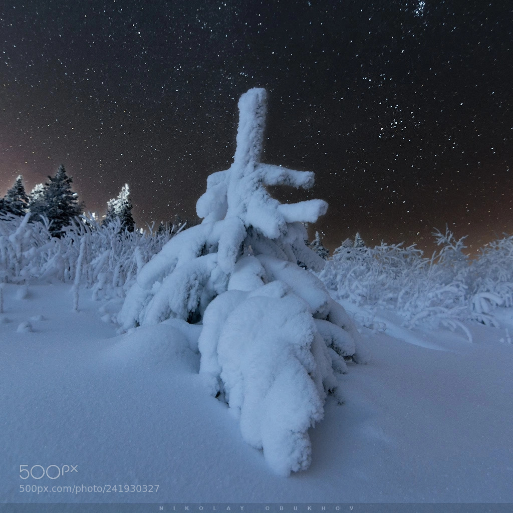 Nikon D7100 sample photo. Cold night 0229_0459 photography