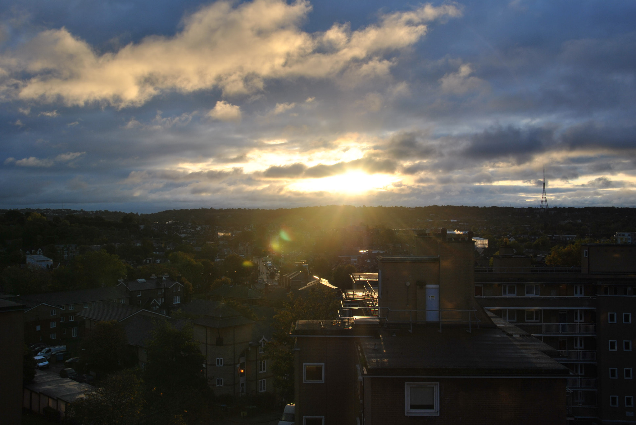 Nikon D3000 sample photo. Slingshot diaries- high trees,home. photography