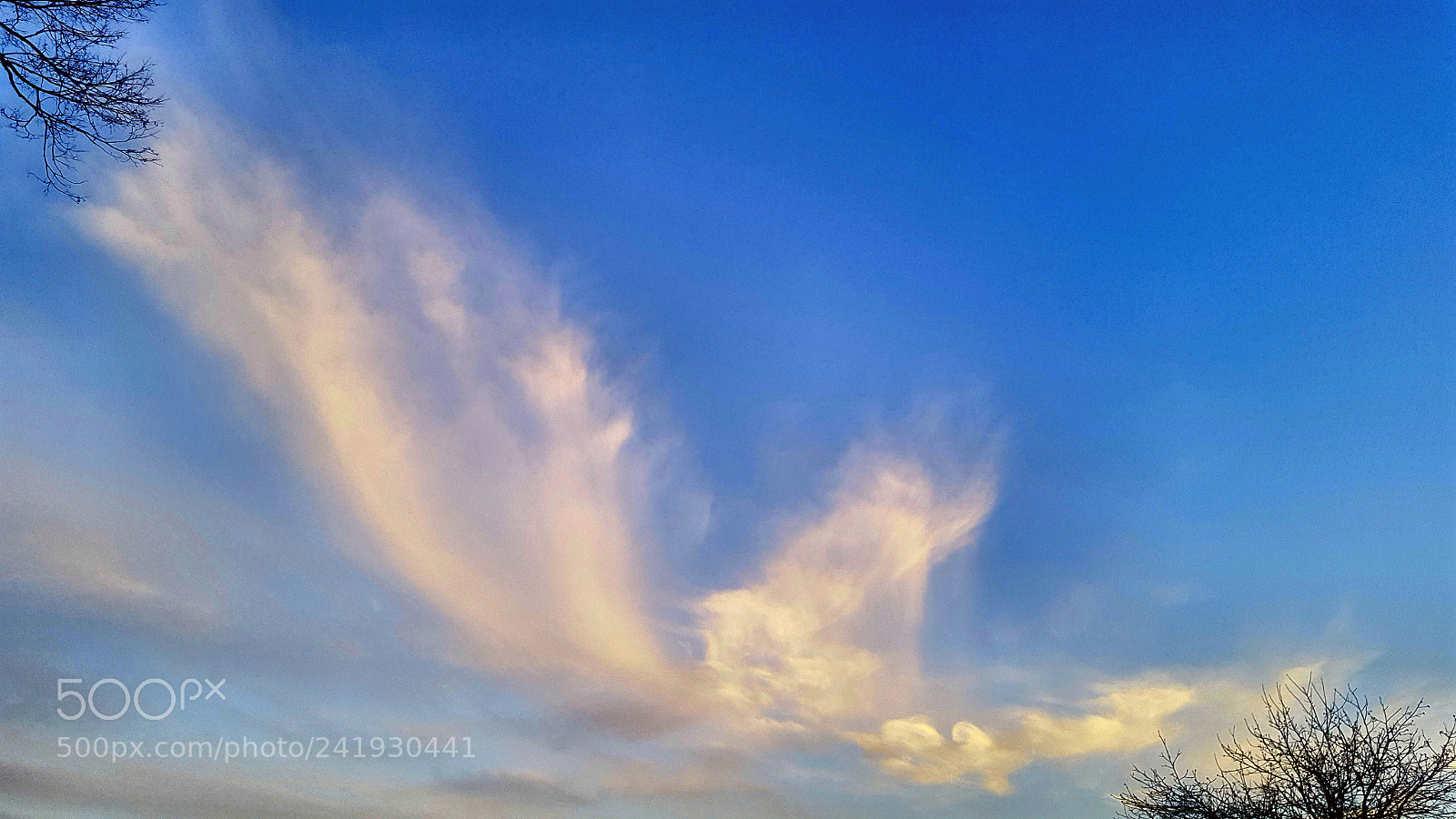 Samsung Galaxy S6 sample photo. Wings... photography