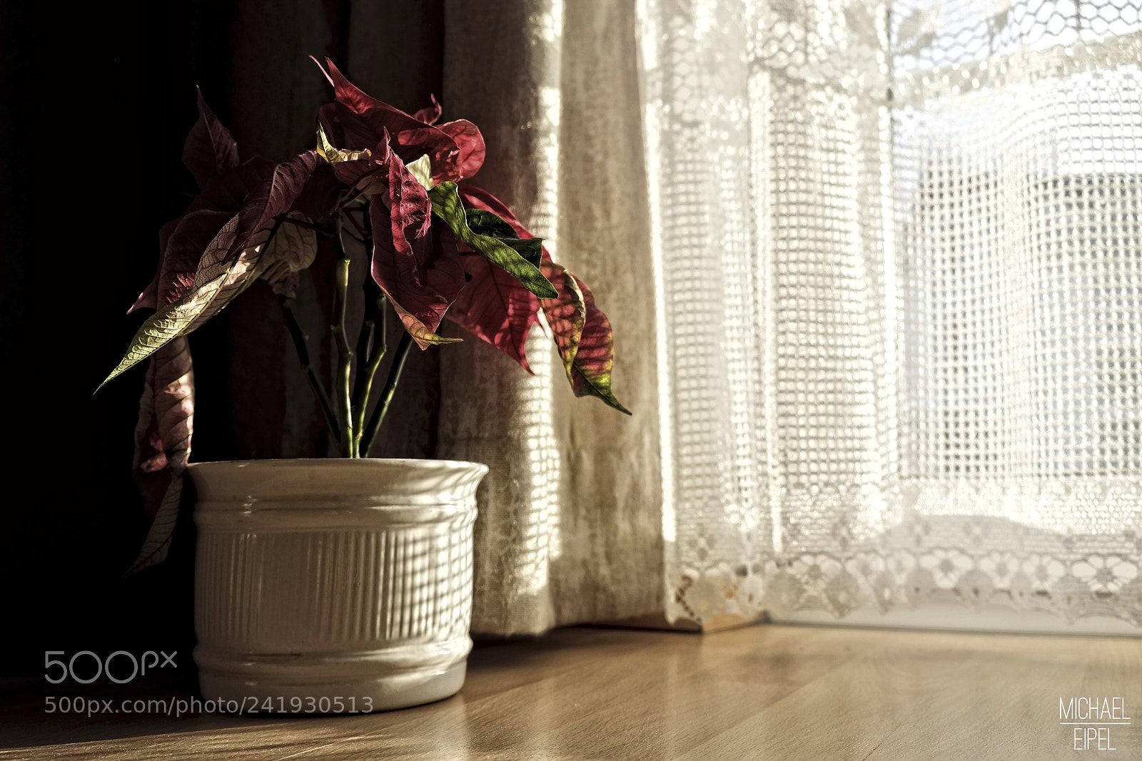 Fujifilm X-T2 sample photo. Past christmas photography