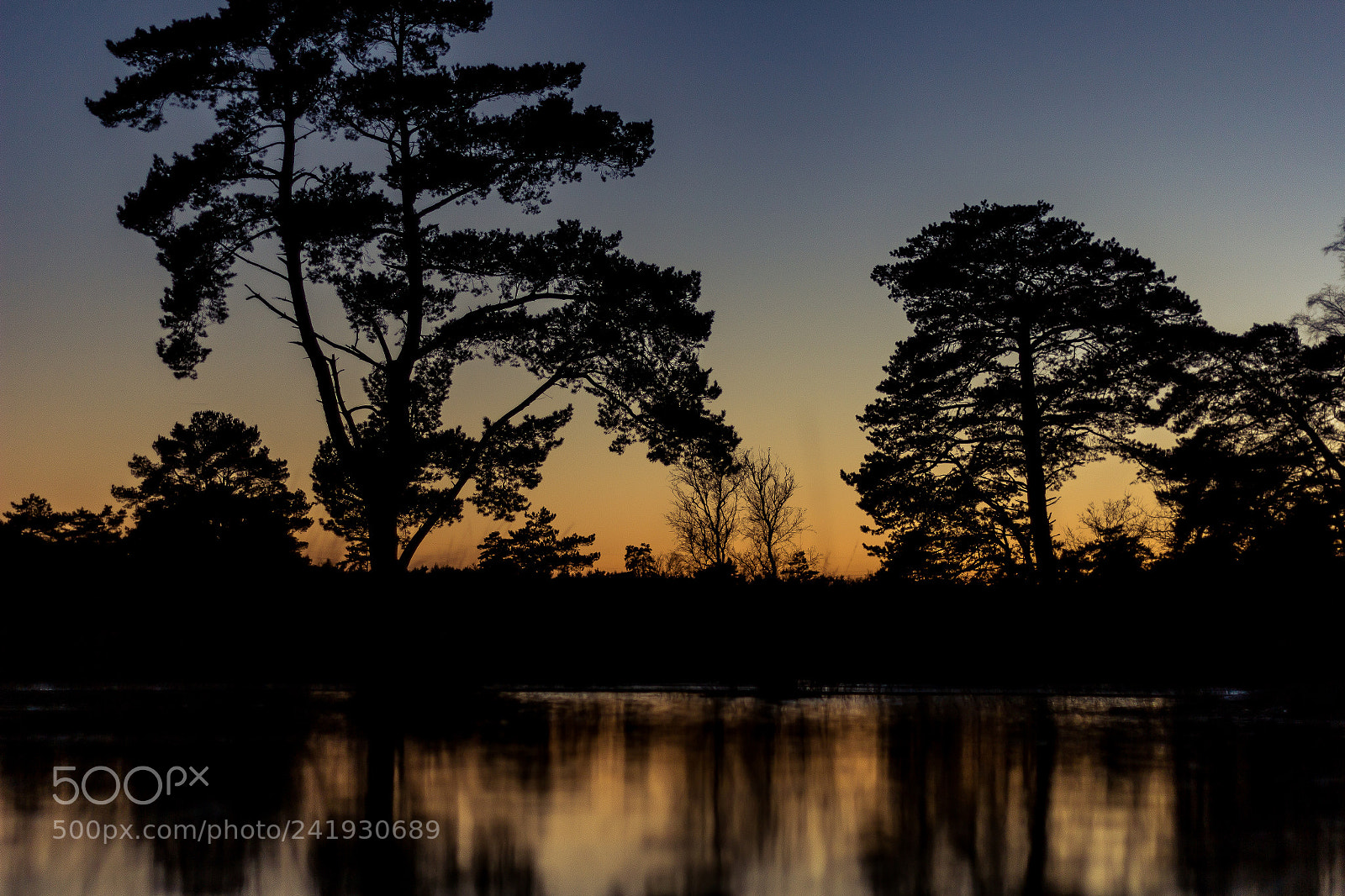 Canon EOS 60D sample photo. Sunset behind the trees photography