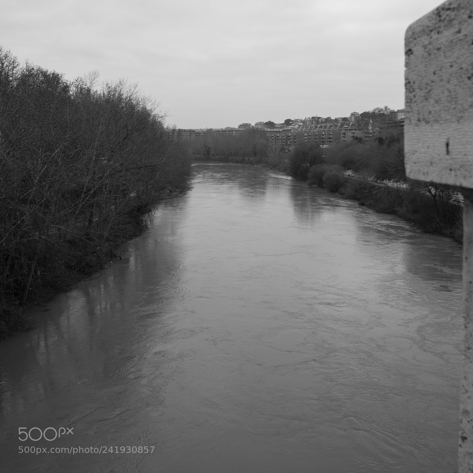 Sony SLT-A58 sample photo. Fiume romano photography