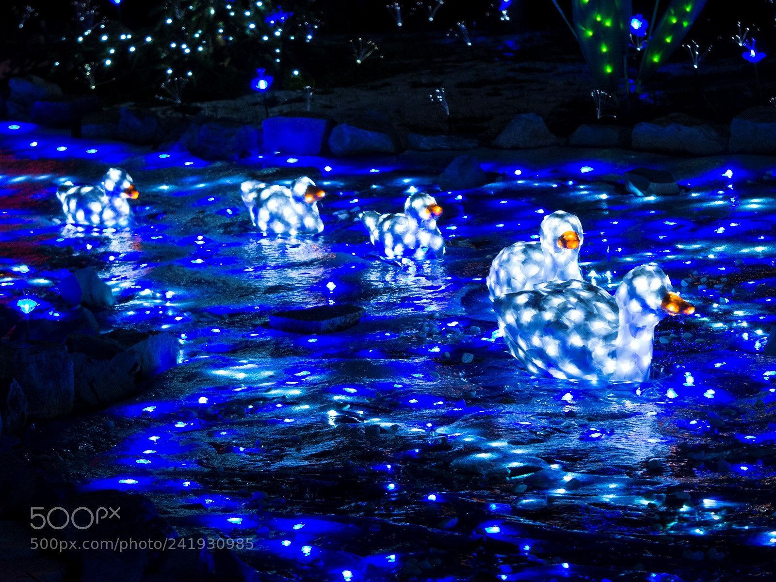 Olympus OM-D E-M10 II sample photo. Light wonderland photography
