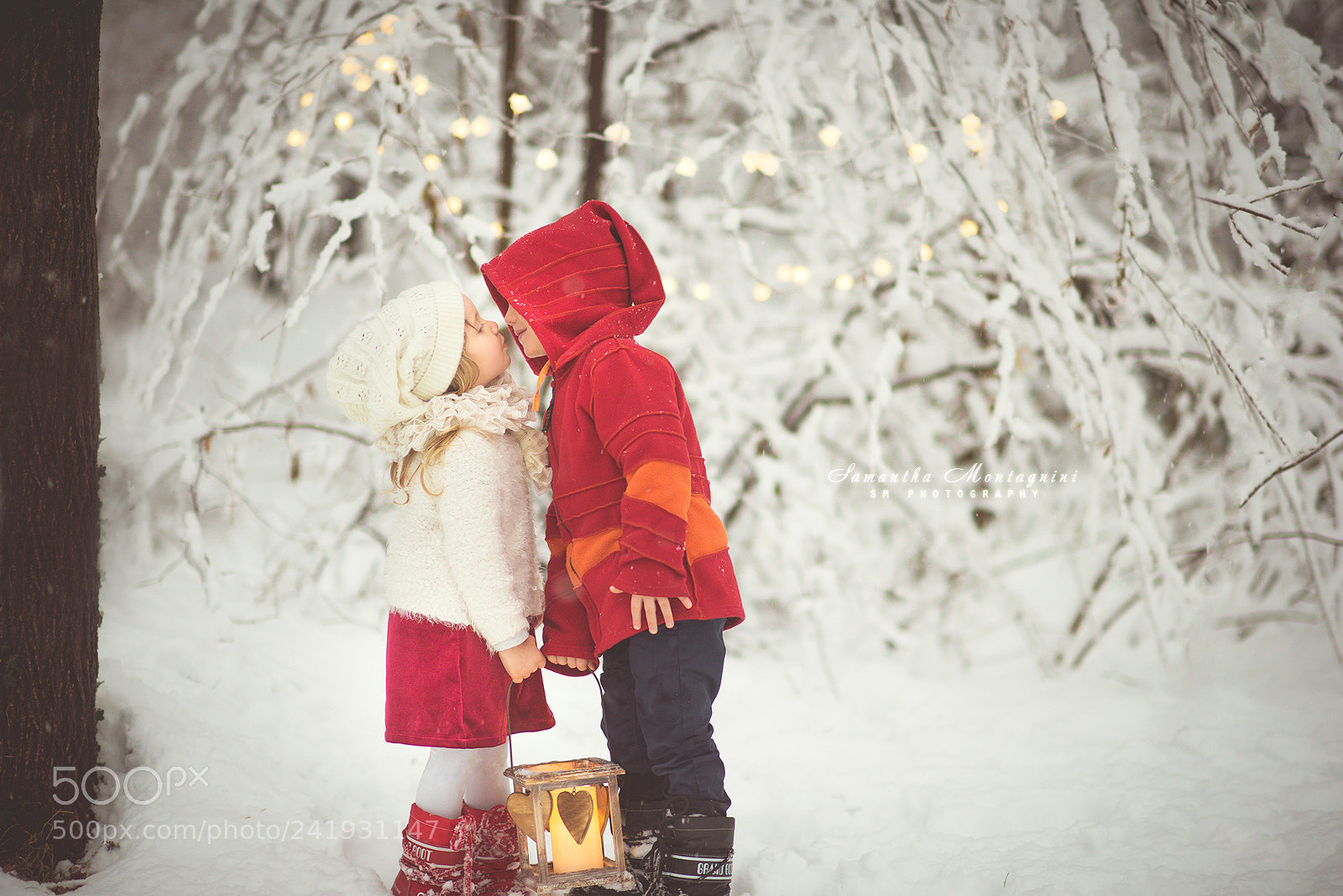 Nikon D810 sample photo. Winter love photography