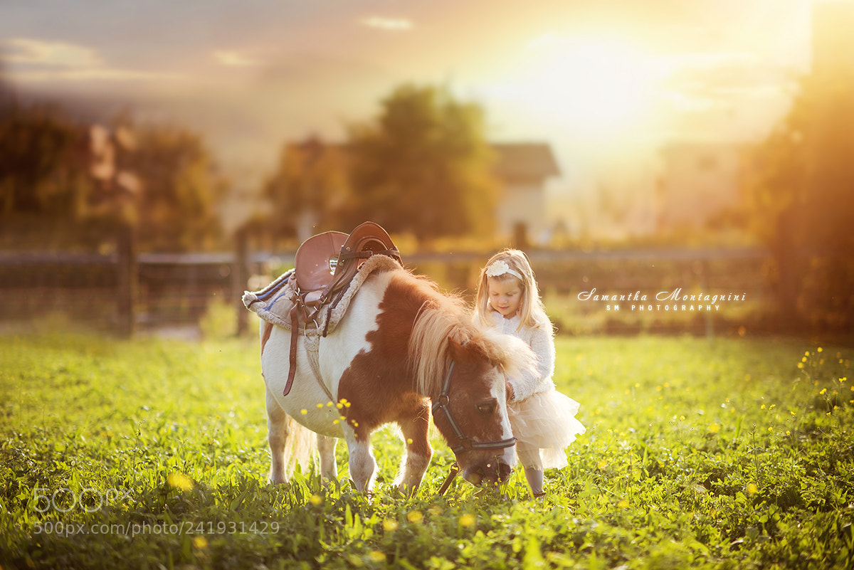 Nikon D810 sample photo. Little girl photography