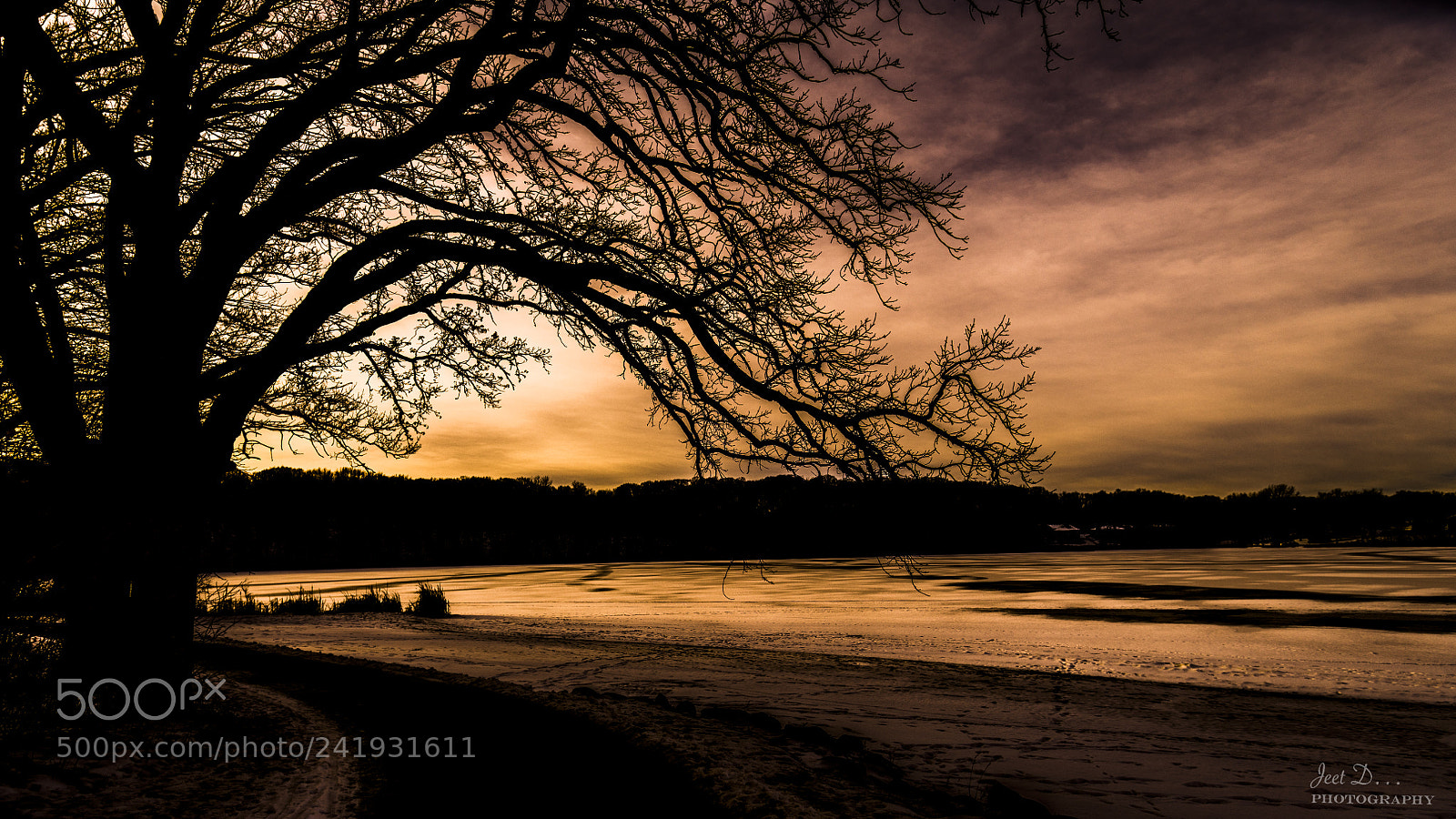 Nikon D850 sample photo. Twilight.... photography