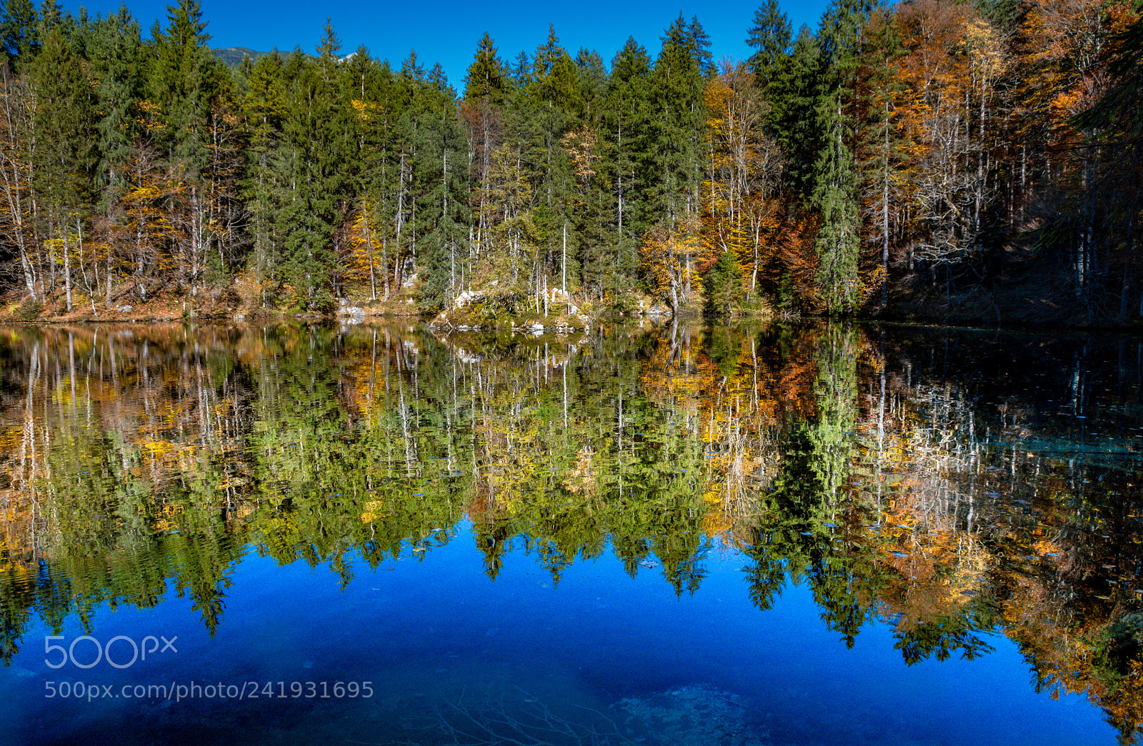 Nikon D7200 sample photo. Farbenspiel im herbst photography