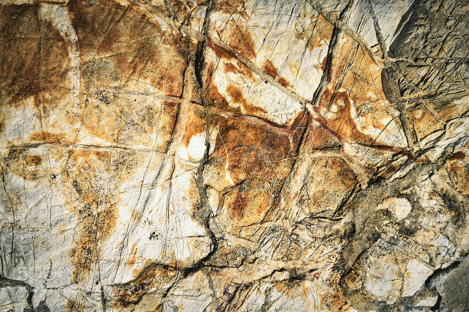 Nikon D5500 sample photo. Old prehistoric limestone with photography