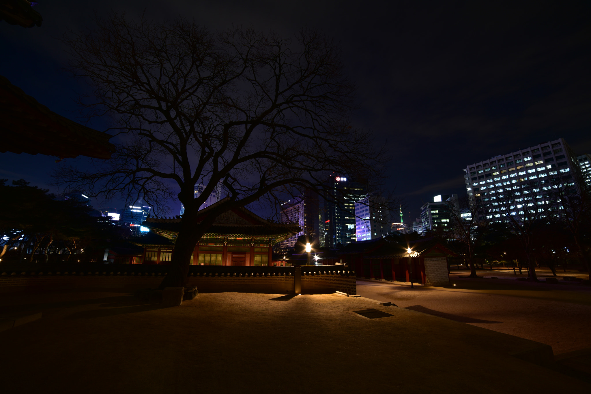 Samyang 14mm F2.8 ED AS IF UMC sample photo