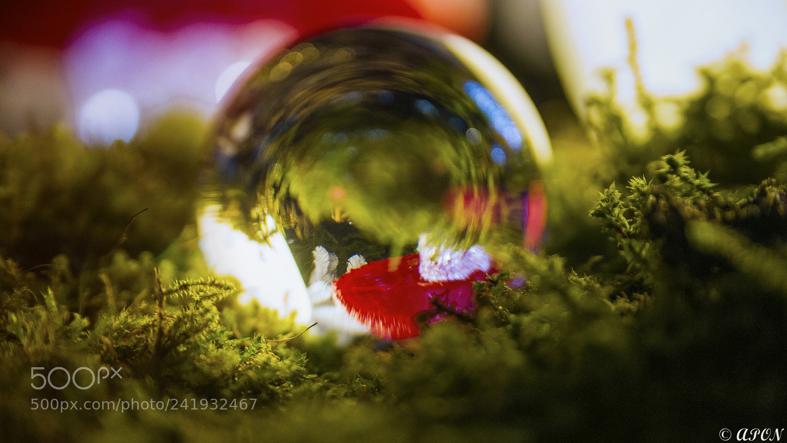 Sony Alpha DSLR-A850 sample photo. Spiral photography