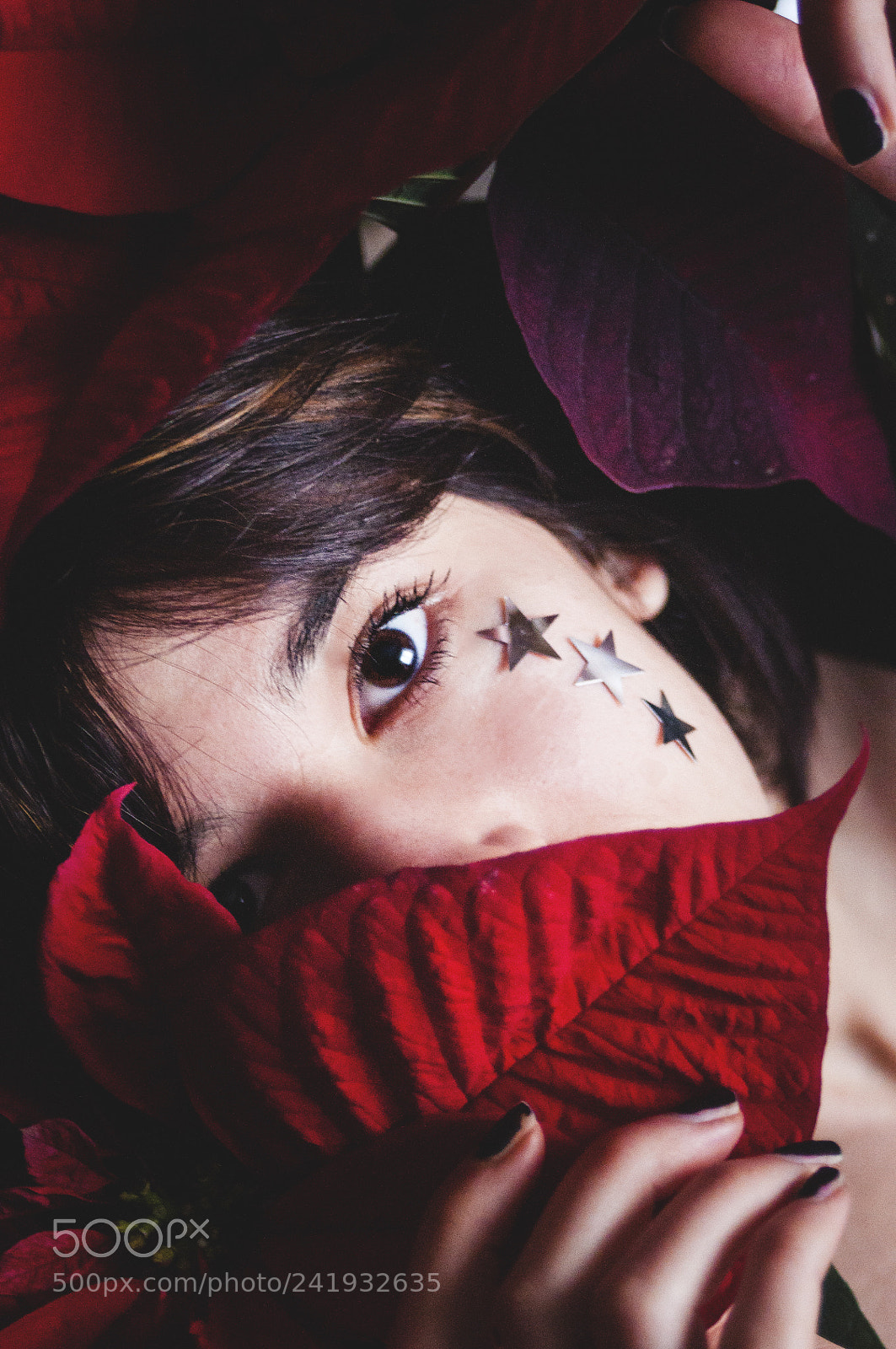 Nikon D90 sample photo. Stelle di natale photography