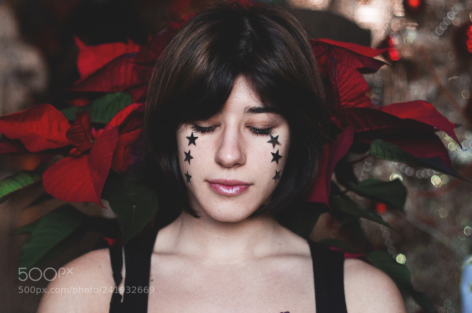 Nikon D90 sample photo. Stelle di natale photography