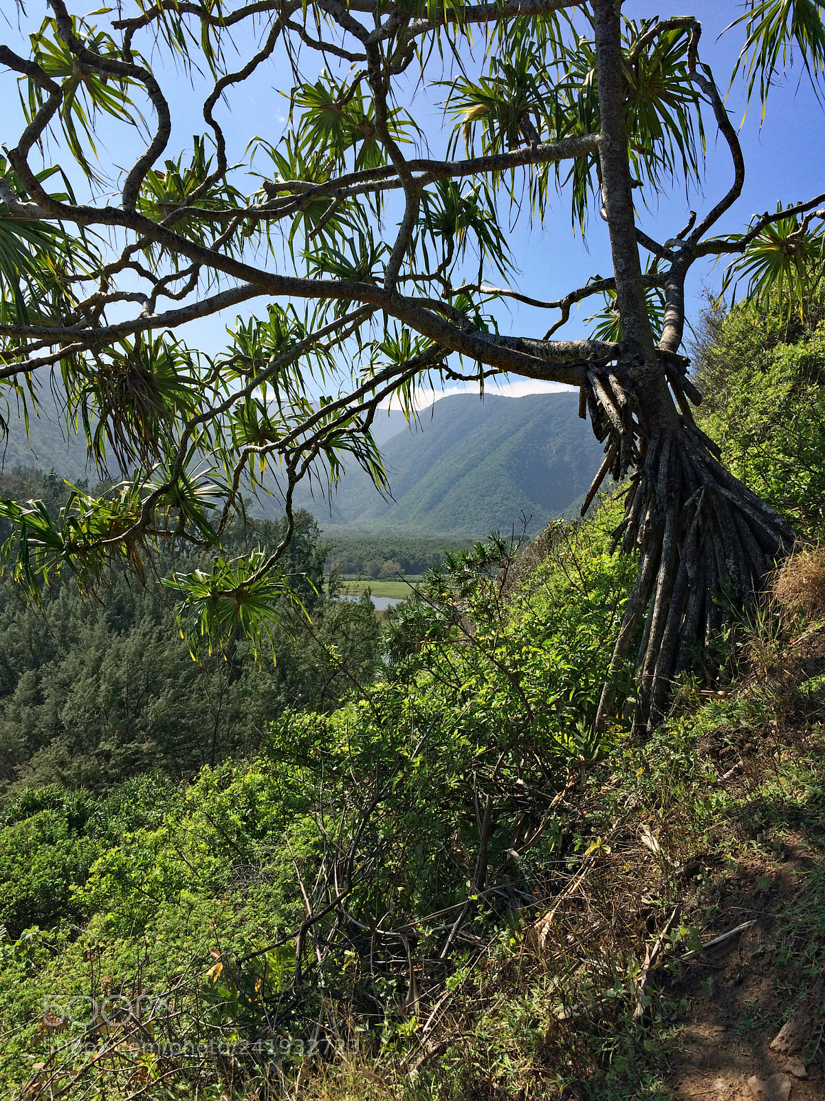 Apple iPhone 5s sample photo. Polulu valley photography