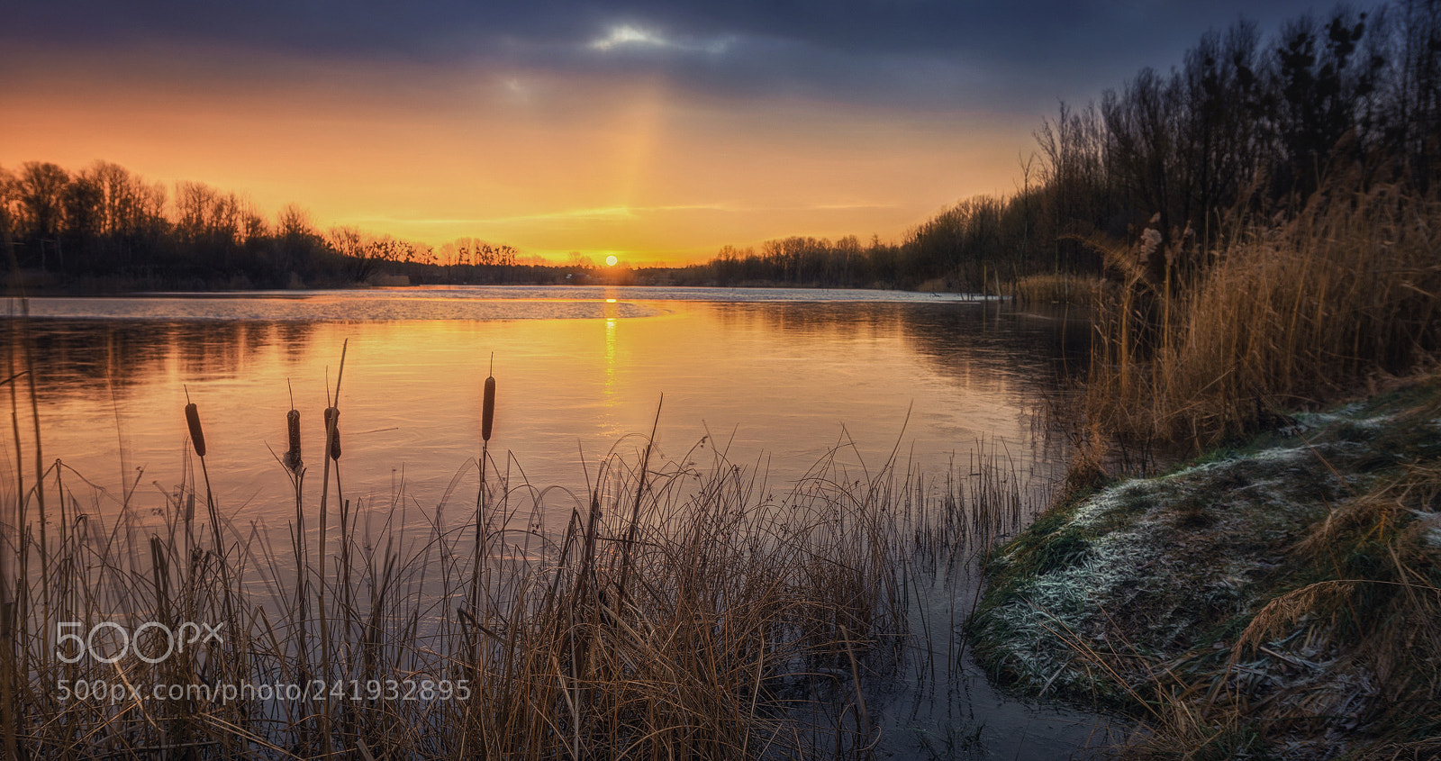 Nikon D810 sample photo. Sunrise photography