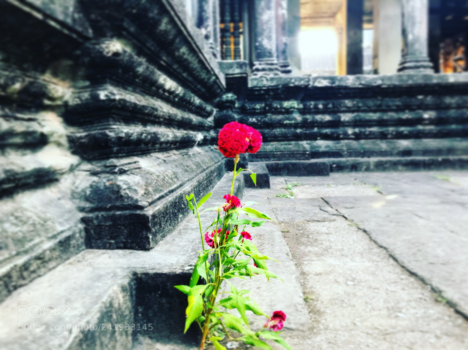 Apple iPhone 7 sample photo. Mother nature will always photography