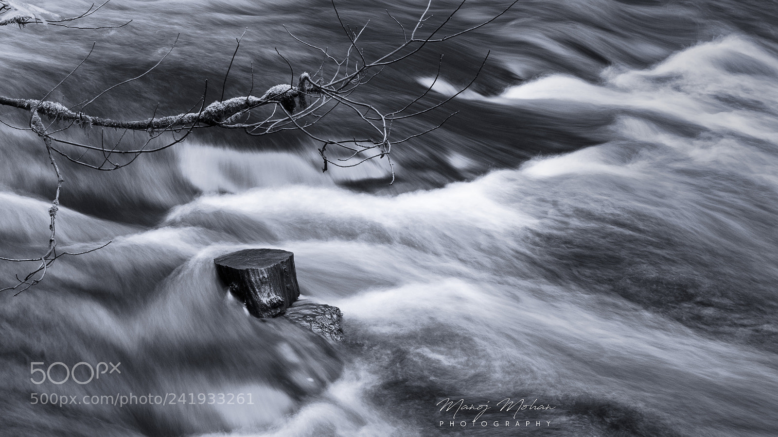 Sony Alpha DSLR-A550 sample photo. Tree stump in river photography